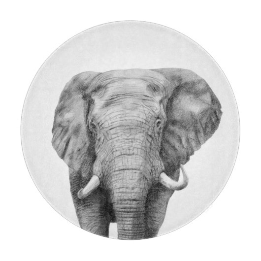 Sicherungsplan IV Schneidebrett (Vorderseite)