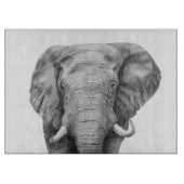 Sicherungsplan IV Schneidebrett (Vorderseite)