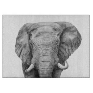 Sicherungsplan IV Schneidebrett