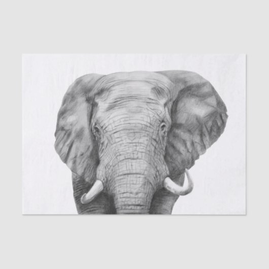 Sicherungsplan IV Seidenpapier (Vorderseite)