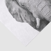 Sicherungsplan IV Seidenpapier (Ausschnitt)