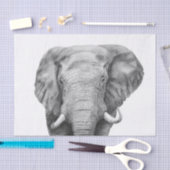 Sicherungsplan IV Seidenpapier (Handwerk)