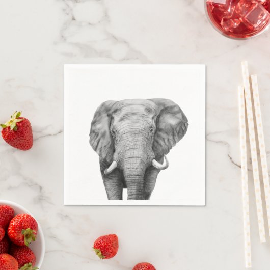 Sicherungsplan IV Serviette (Beispiel)