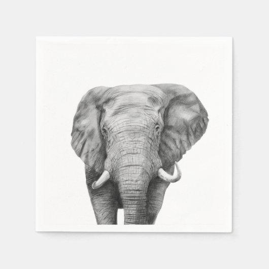 Sicherungsplan IV Serviette (Vorderseite)