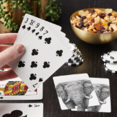 Sicherungsplan IV Spielkarten (In Situ)