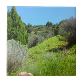 Sicht auf den grünen Tile Fliese