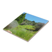 Sicht auf den grünen Tile Fliese (Seite)