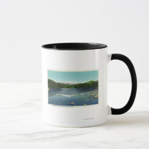 Sicht auf den Mount Washington und das Saco Tasse