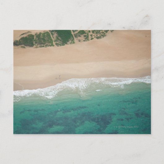 Sicht auf den Strand mit Meerblick, Port Elizabeth Postkarte (Vorderseite)