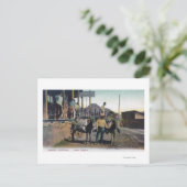 Sicht auf die Esel, die Wasser transportieren Bisb Postkarte (Stehend Vorderseite)