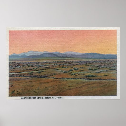 Sicht auf die Mohave-Wüste Poster (Vorne)