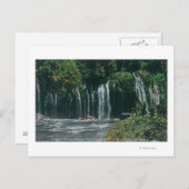 Sicht auf die Mossbrae FallsShasta Springs, CA Postkarte (Vorne/Hinten)