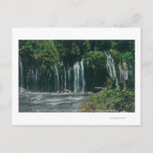 Sicht auf die Mossbrae FallsShasta Springs, CA Postkarte (Vorderseite)
