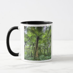 Sicht auf die Vegetation im botanischen Garten von Tasse
