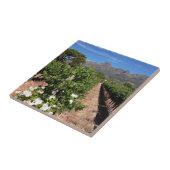 Sicht auf die Weinberge. Stellenbosch Fliese (Seite)