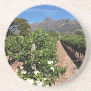 Sicht auf die Weinberge. Stellenbosch Getränkeuntersetzer
