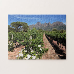 Sicht auf die Weinberge. Stellenbosch Puzzle