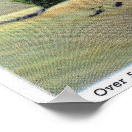 Sicht auf die Wüste Maine Poster (Ecke)