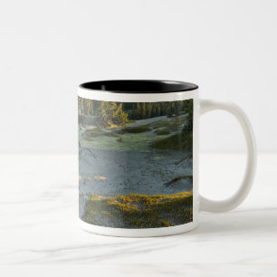 Sicht auf einen See und die umliegenden Sandhügel, Zweifarbige Tasse