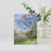 Sicht auf Kirschblüten (& Frühlingssinn) Postkarte (Stehend Vorderseite)