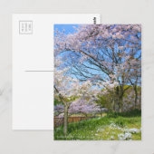 Sicht auf Kirschblüten (& Frühlingssinn) Postkarte (Vorne/Hinten)