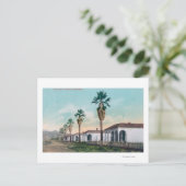 Sicht auf Palm RowCalistoga, CA Postkarte (Stehend Vorderseite)