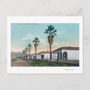 Sicht auf Palm RowCalistoga, CA Postkarte