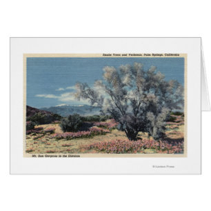 Sicht auf San Gorgonio, Rauchbäume