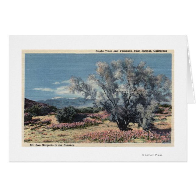 Sicht auf San Gorgonio, Rauchbäume (Vorderseite (Horizontal))