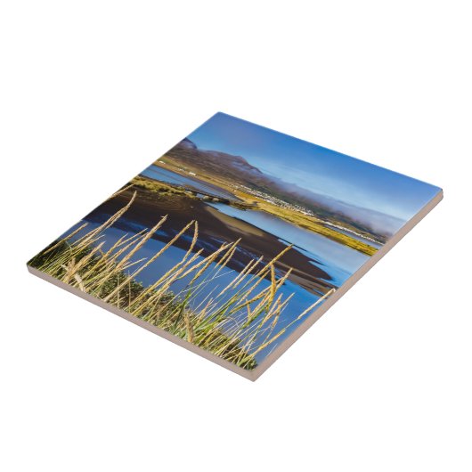 Sicht auf Saudarkrokur und Skagafjordur, Island Fliese (Seite)