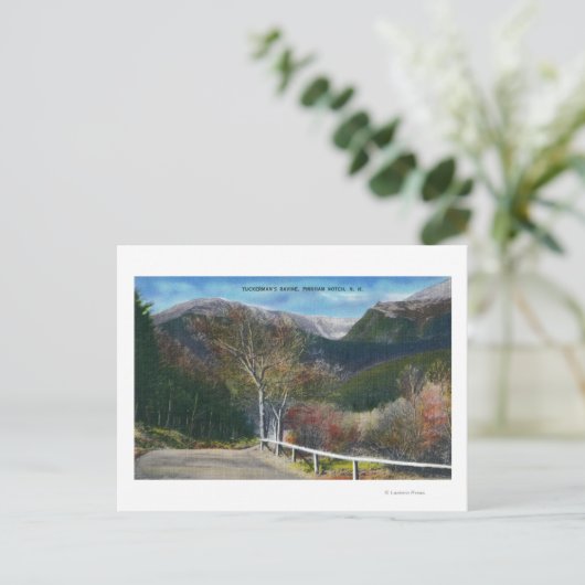 Sicht auf Tuckermans Ravine Postkarte (Stehend Vorderseite)