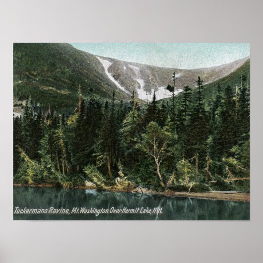 Sicht auf Tuckermans Ravine, Washington Poster (Vorne)