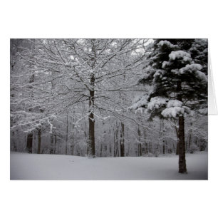Sicht auf Wälder