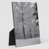 Sicht auf Wälder Fotoplatte (Seite)