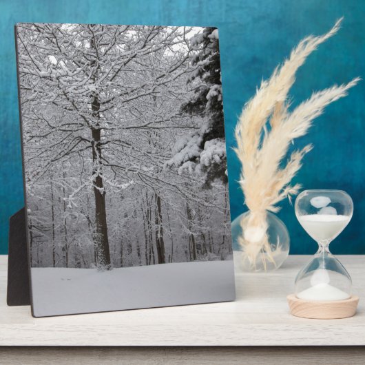 Sicht auf Wälder Fotoplatte (Seite)