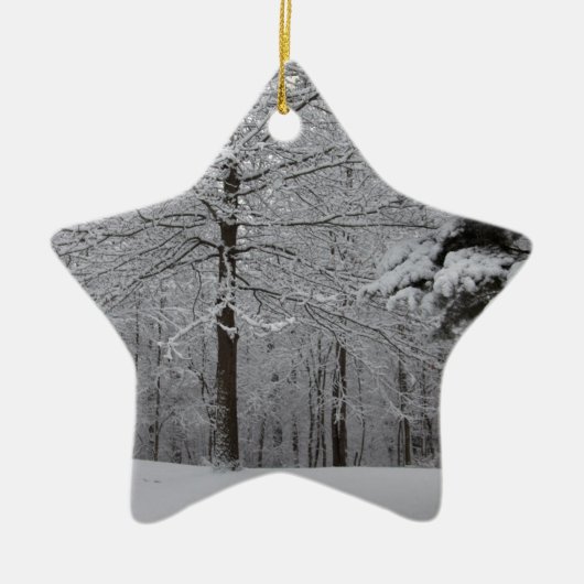 Sicht auf Wälder Keramik Ornament (Vorne)