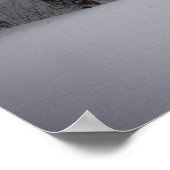 Sicht auf Wälder Poster (Ecke)