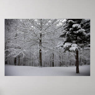 Sicht auf Wälder Poster