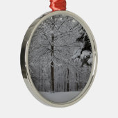 Sicht auf Wälder Silbernes Ornament (Rechts)