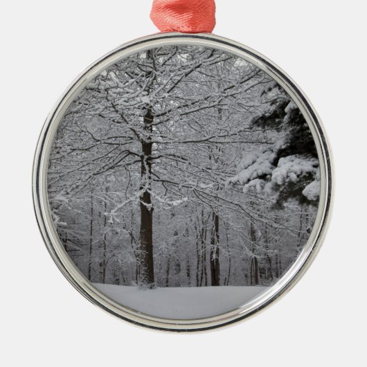 Sicht auf Wälder Silbernes Ornament (Vorne)