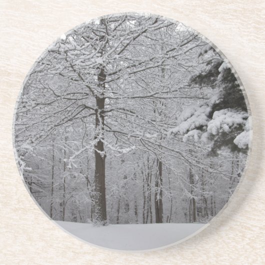 Sicht auf Wälder Untersetzer (Vorne)