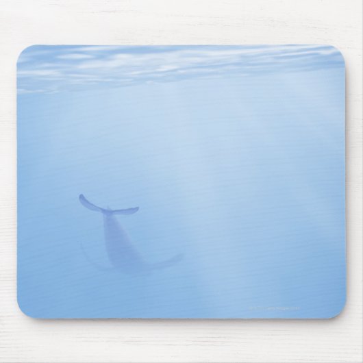 Sicht auf Wale unter Wasser Mousepad (Vorne)