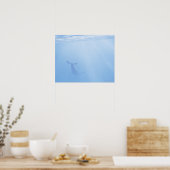 Sicht auf Wale unter Wasser Poster (Küche)