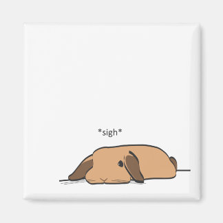 SICHTLOP MAGNET