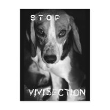 Sichtung stoppen - Postkarte