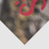 Sichuan Pepper Chinesische Küche Seidenpapier (Ausschnitt)