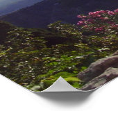 Sicilian Sun Rays Poster (Ecke)