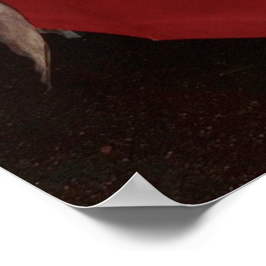 Sicilian Swordsman Poster (Ecke)