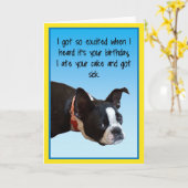 Sick Birthday Boston Karte (Gelbe Blume)