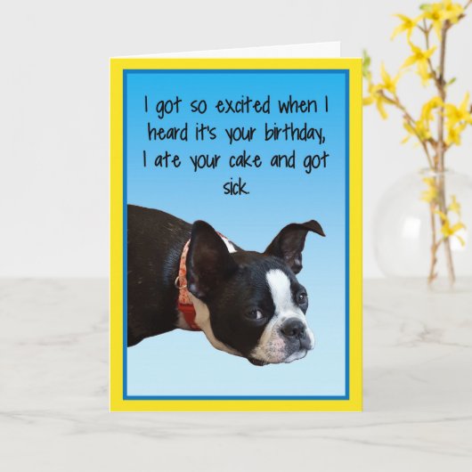 Sick Birthday Boston Karte (Gelbe Blume)